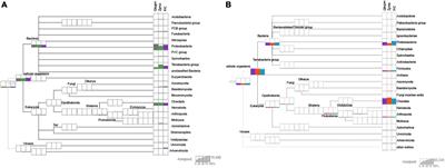 A comparative analysis of extraction protocol performance on degraded mammalian museum specimens